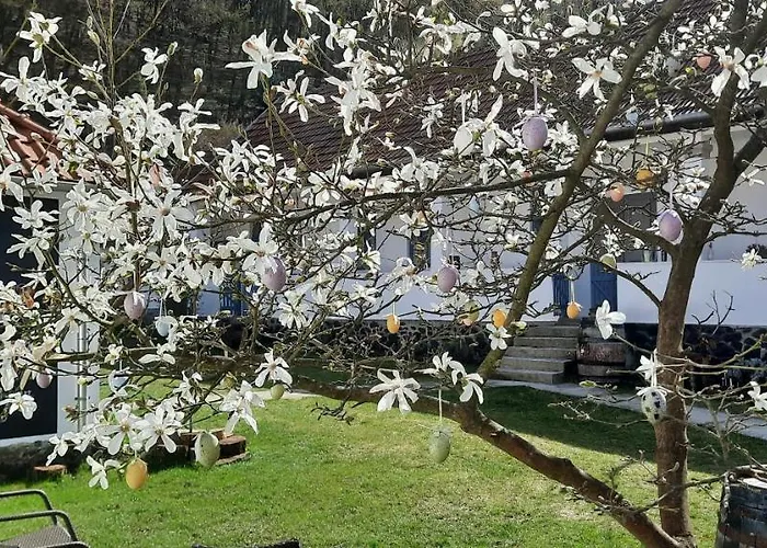 Kiskilenc Vendeghaz Szarvaskő